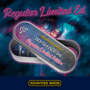 Edicion Especial Do-Si-Dos #4 Reg