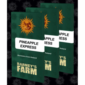 Pineapple Express Fem