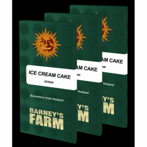Ice Cream Cake Fem