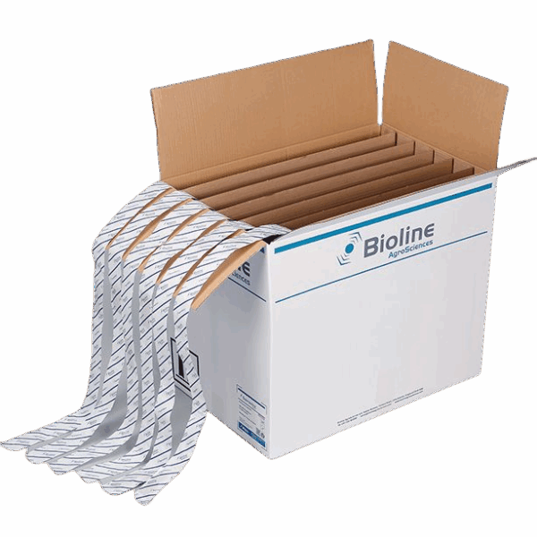 Starskii - Amblyseius Swirskii 6 Tiras 100m 125.000 (Mosca Blanca)