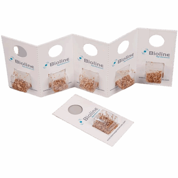 Eretline - 60 Tarjetas - 3.000 Individuos - Eretmocerus eremicus (Araña Blanca Invernaderos y Patata)