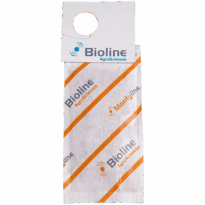 Montyline - 1.000 Mini Sobres - 250.000 Individuos - Amblyseius montdorensis (Trips / Mosca Blanca)