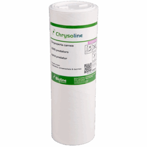 Chrysoline - Tubo - 1.000 Individuos - Chrysoperla carnea (Pulgon)