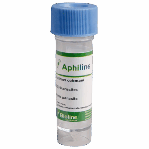 Aphiline Veg - Vial - 500 Individuos - Aphidius colemani + A. ervi + Aphelinus abdominalis (Pulgón)