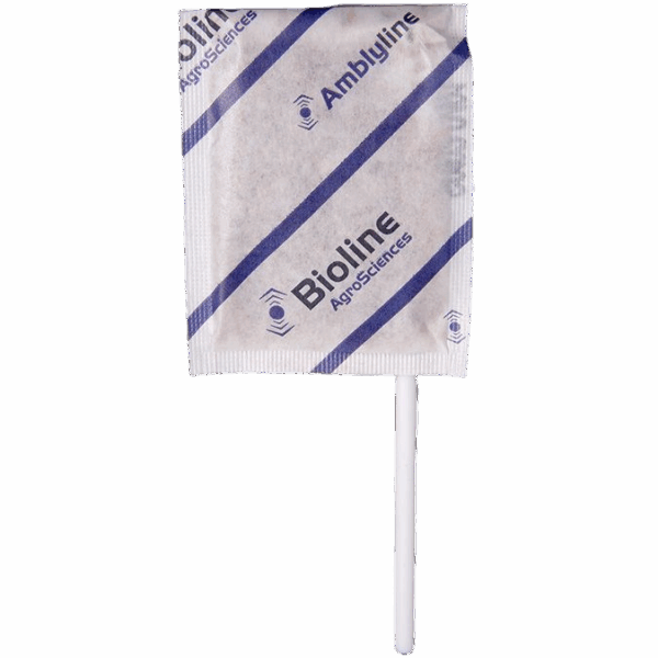 Amblyline - Bran-vermiculite - 500 Sobres Stick - 125.000 Individuols - Amblyseius cucumeris (Trips)