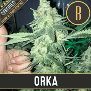 Orka Fem