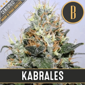 Kabrales Fem