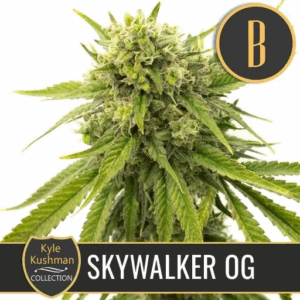 Skywalker OG Fem