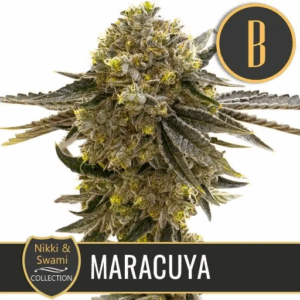 Maracuya Fem