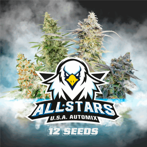 All Stars USA Automix 12Und