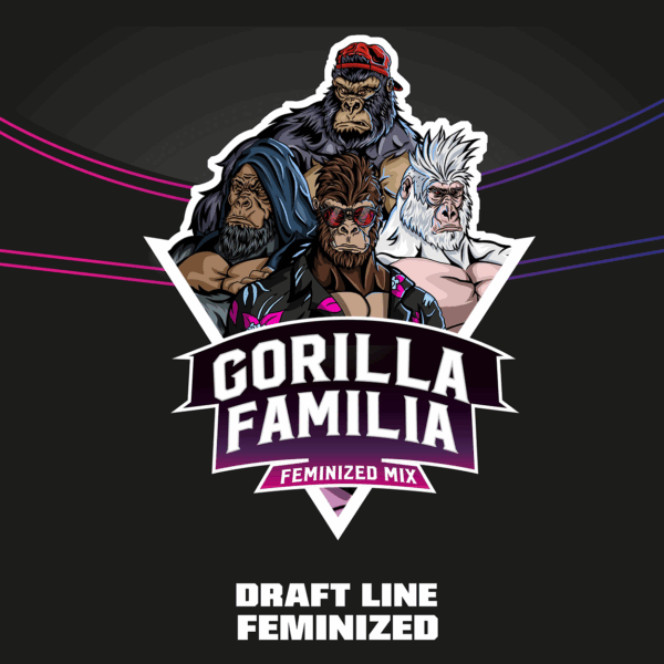 Gorilla Familia Feminized Mix 12Und