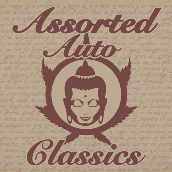 Classic Assorted Auto