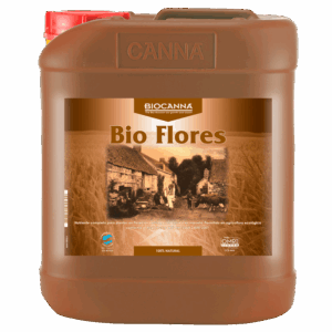 Canna Bio Flores
