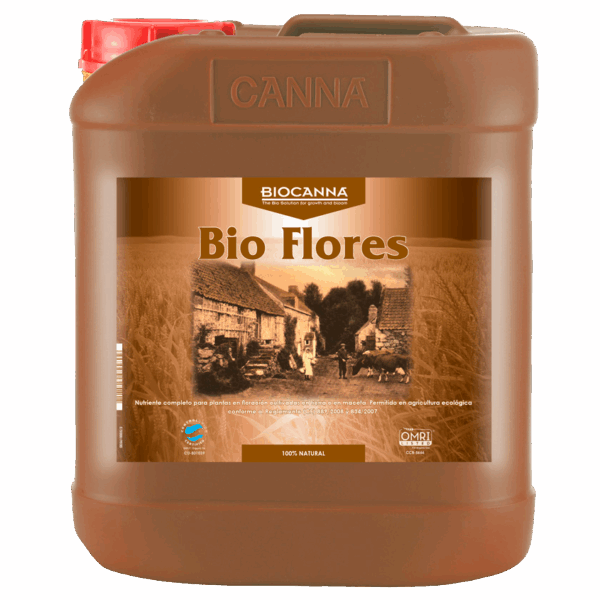 Canna Bio Flores