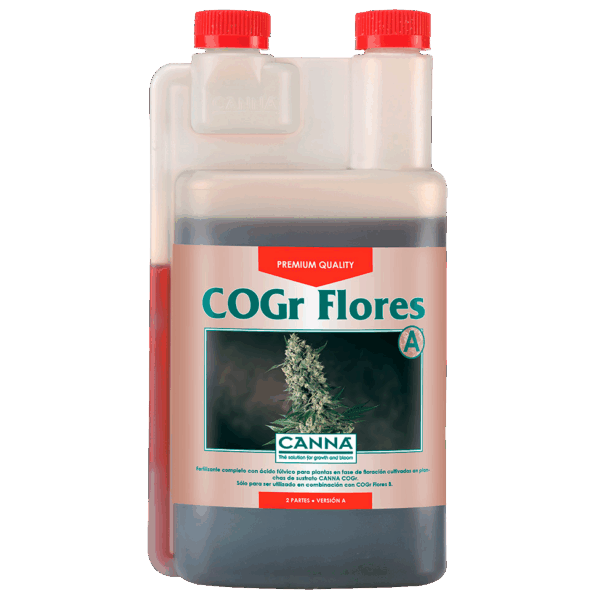 Canna Cogr Flores A+B