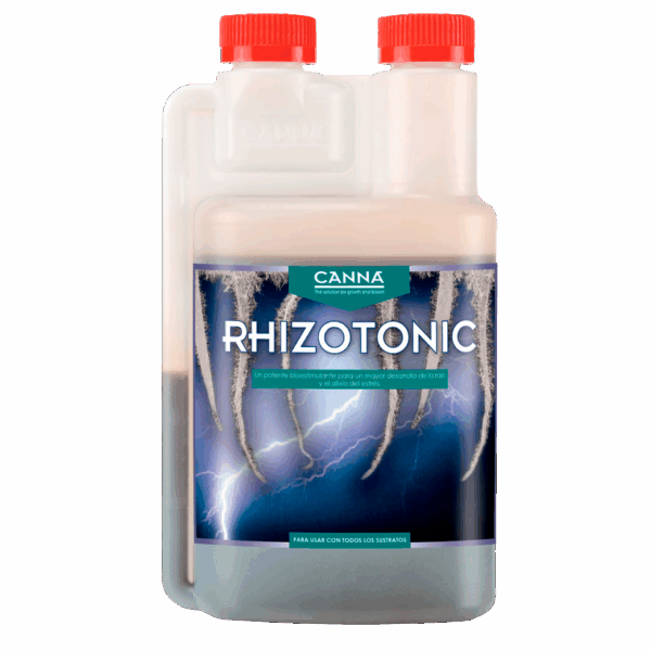 Canna Rhizotonic