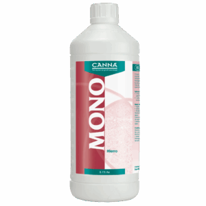 Canna Hierro