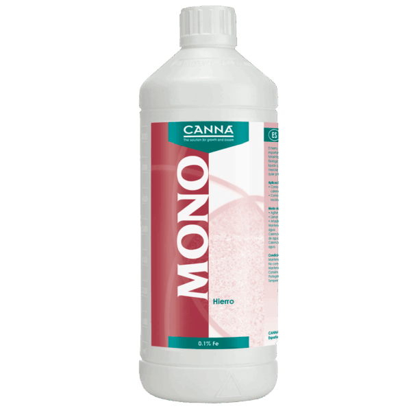 Canna Hierro