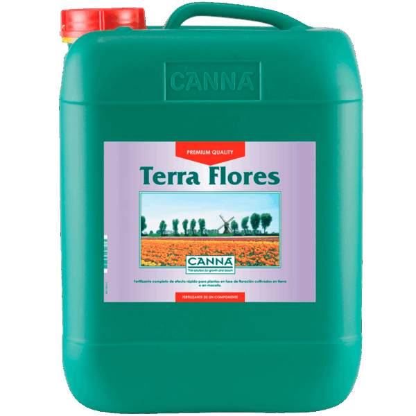 Canna Terra Flores