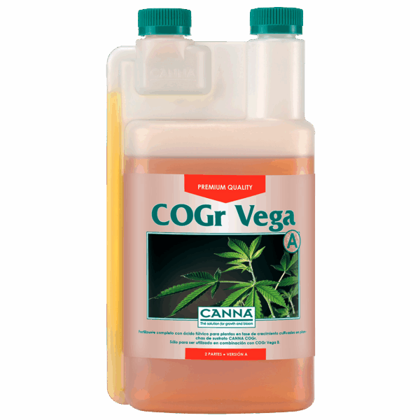 Canna Cogr Vega A+B
