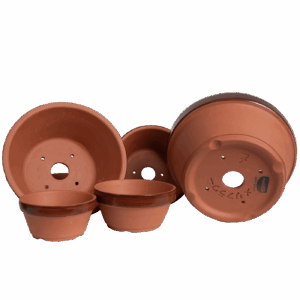 Meliflor Tiesto Prebonsai Terracota