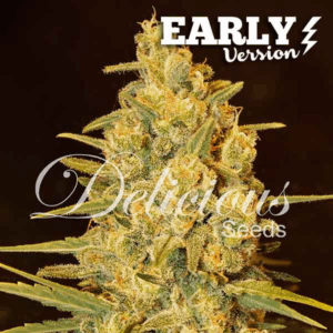 Critical Sensi Star F1 Early Version Fem