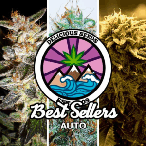 Gourmet Collection Best Seller Auto