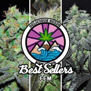 Gourmet Collection Best Seller Fem