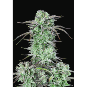 Strawberry Banana