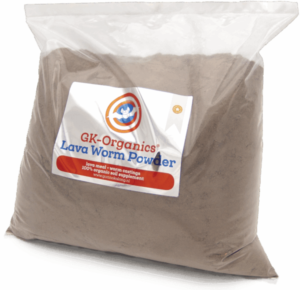 Guanokalong Lava Worm Polvo