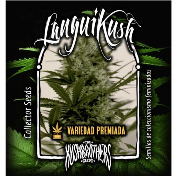 Langui Kush Fem