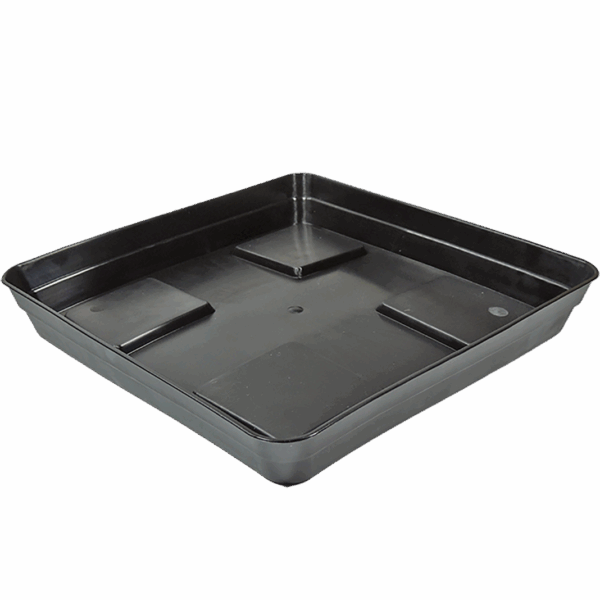 Plato Cuadrado Eco Negro con Soporte
