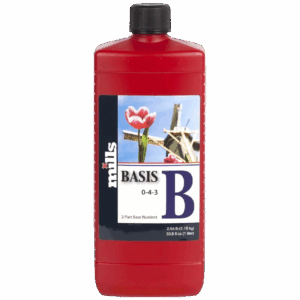 Mills Basis B