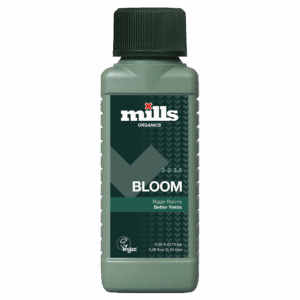 Mills Orga Bloom