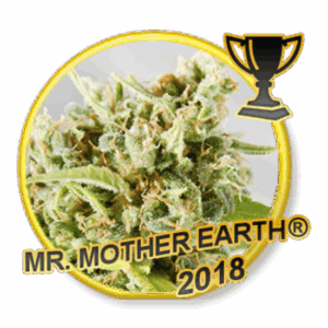 Mr. Mother Earth Fem.