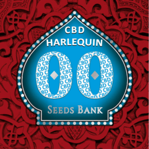 Harlequin CBD Fem