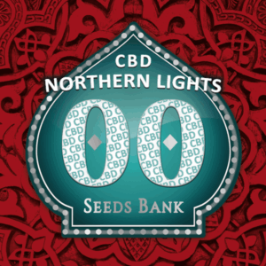 Northern Lights CBD Fem