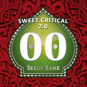 Sweet Critical 2.0 Fem