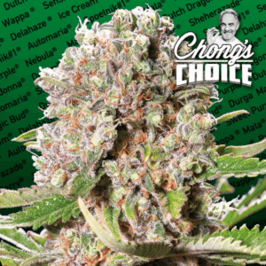Mendocino Skunk Fem