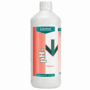 Canna Ph- Floración 1L