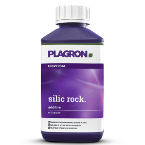 Plagron Silic Rock