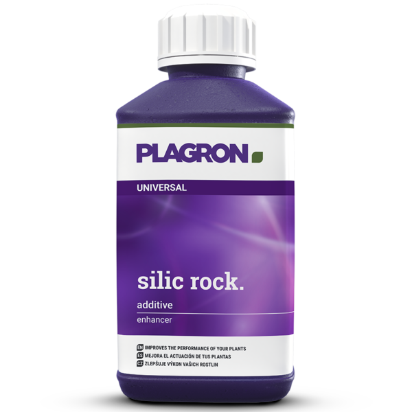 Plagron Silic Rock