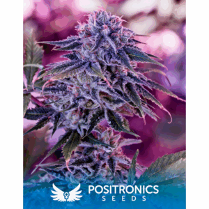 Blue Rhino Fem