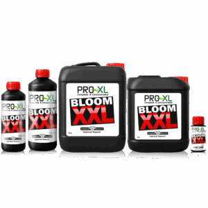 PRO-XL Bloom XXL