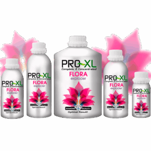 PRO-XL Flora Exploder