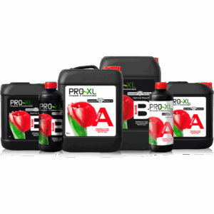 PRO-XL Bloom A&B