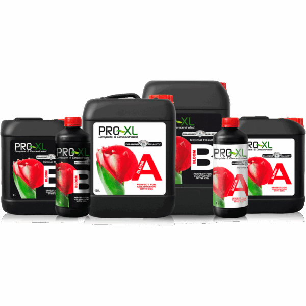PRO-XL Bloom A&B