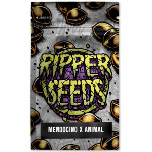 Edicion Limitada (Mendocino x Animal Cookies) 3Und Fem