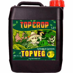Top Crop Top Veg