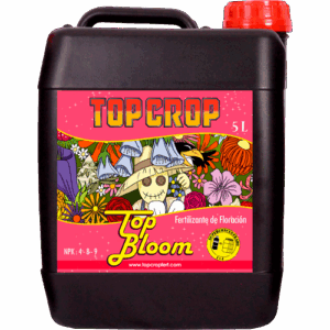 Top Crop Top Bloom